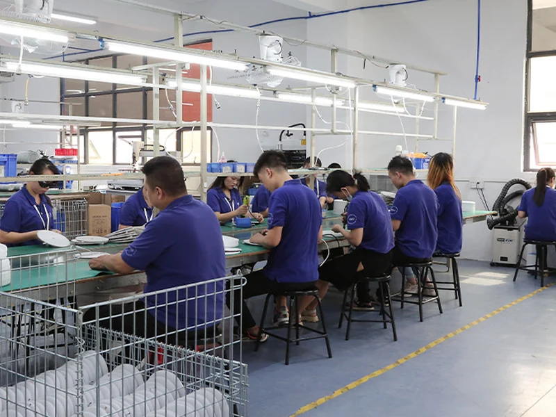 Standard Assembly Production Line